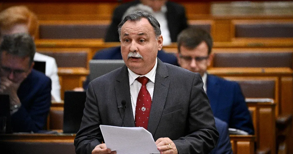 Az a cél, hogy minél több állat kerüljön jó és biztonságos otthonba