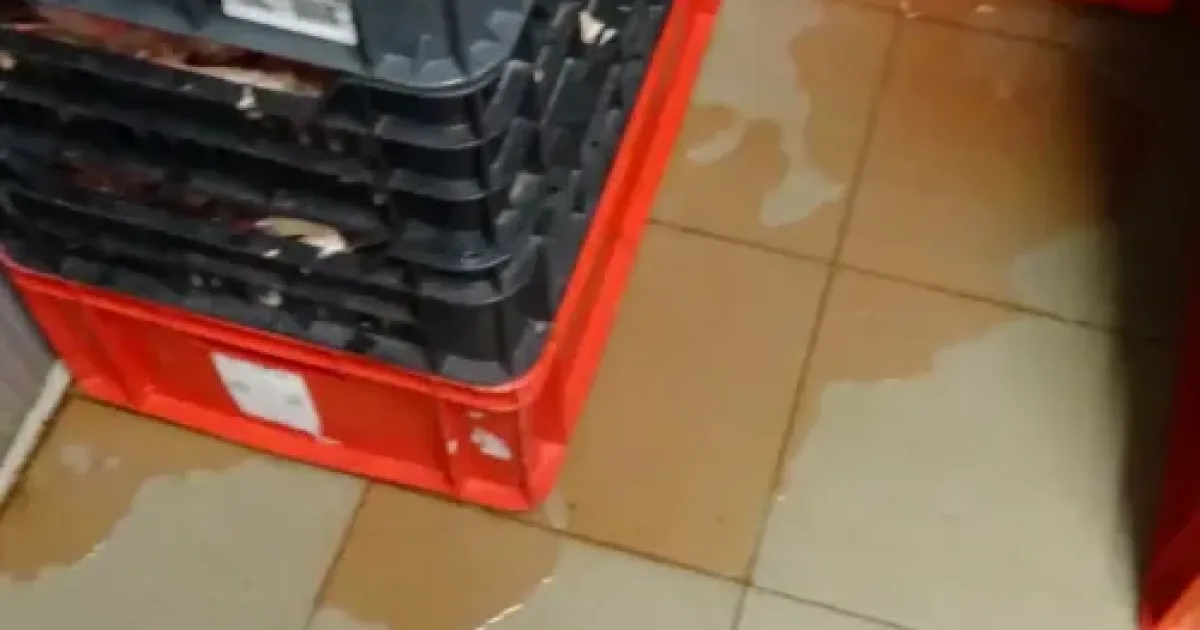 Bezárta a Nébih a repedezett mennyezetű pesti gíroszhúsüzemet
