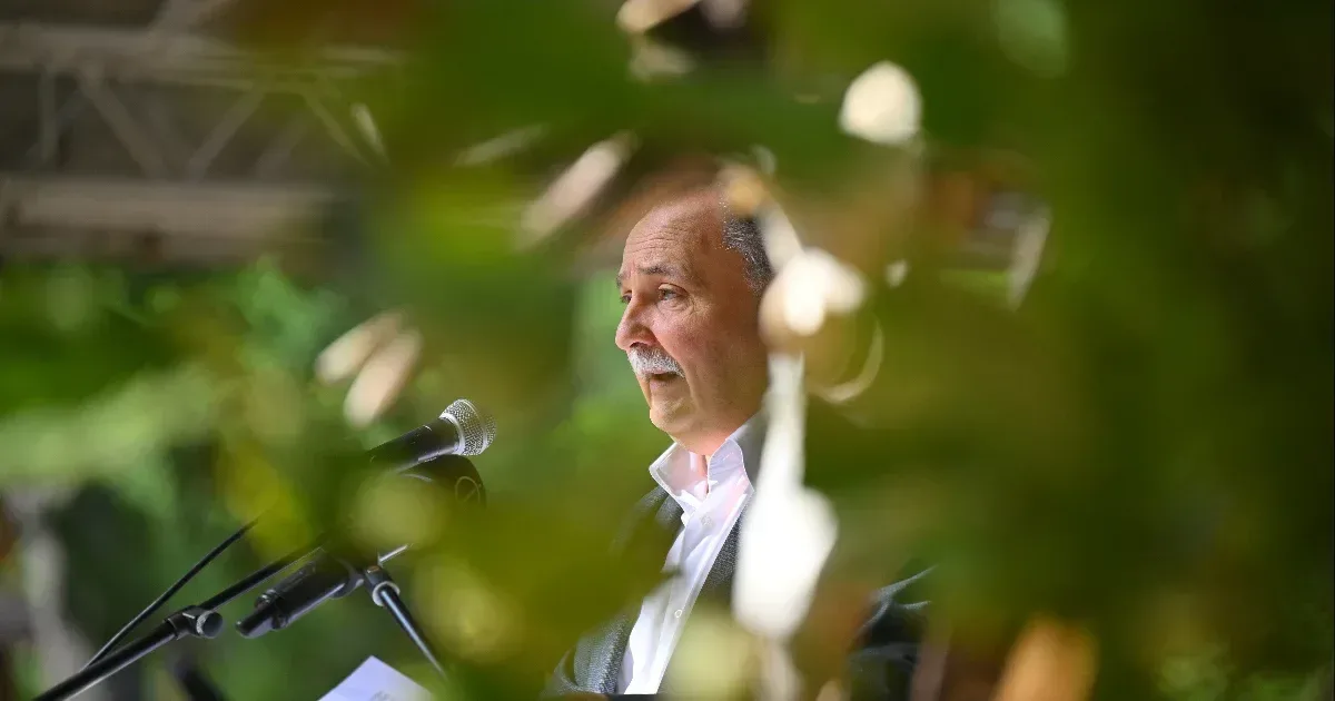 Nem hosszabbítja meg a kormány a fakitermelési moratóriumot