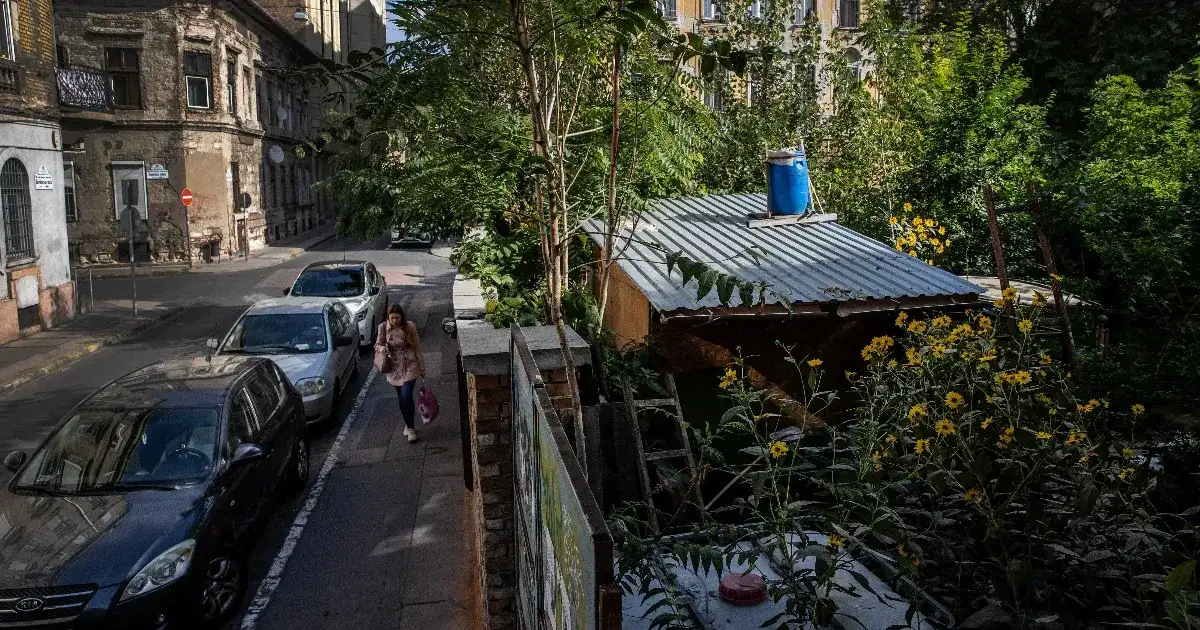 Több mint kétszáz fa nőtt magokból az egykori parkolóban, most szálloda épül a helyére