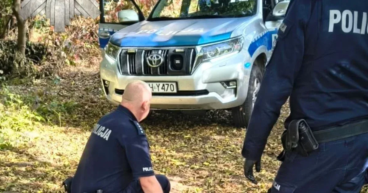 19 éves fiatal késelt meg 8 embert egy lengyel iskolánál, elfogták a gyanúsítottat