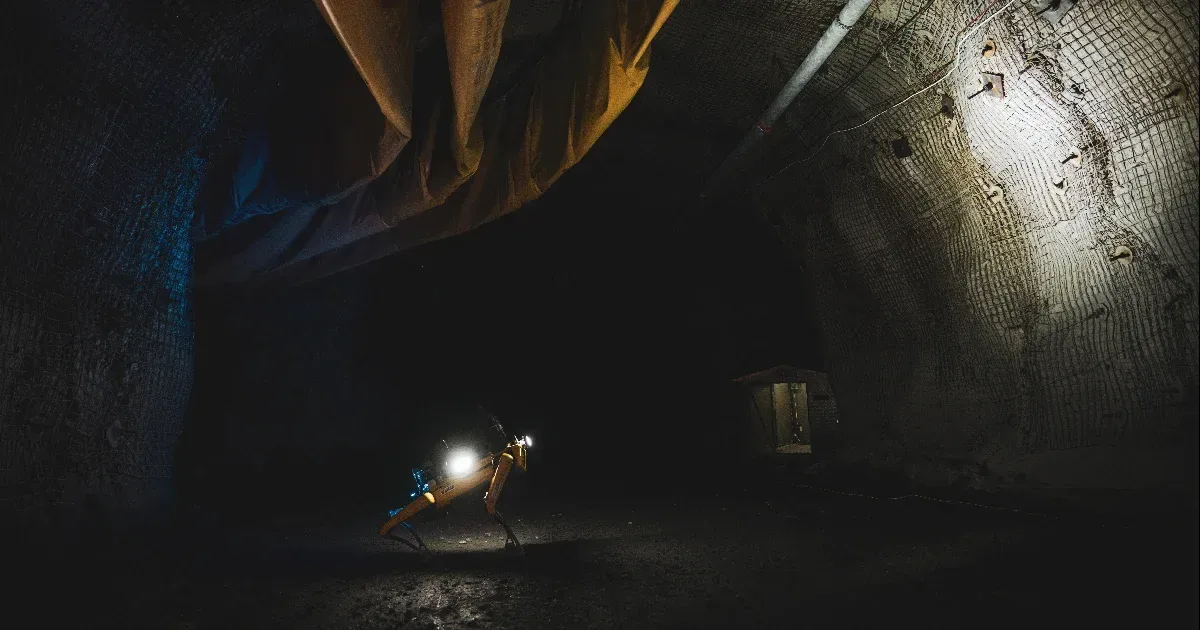 Boston Dynamics-dolgozók az ICE ellen: ne kapjanak robotkutyákat