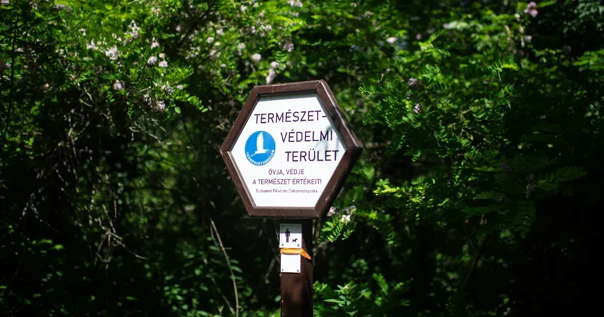 Egy túraapp elsőként használja a védett területek adatait
