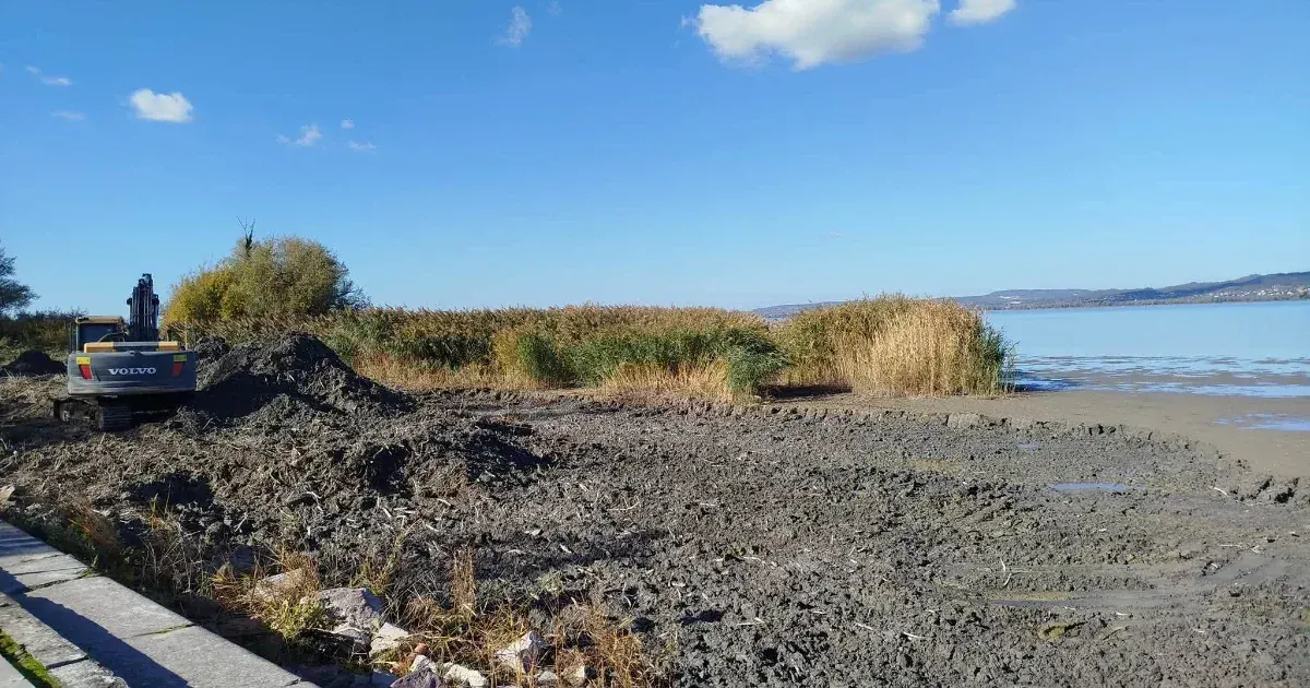 Gajdos László: nem maradhat következmények nélkül a balatonberényi nádasirtás