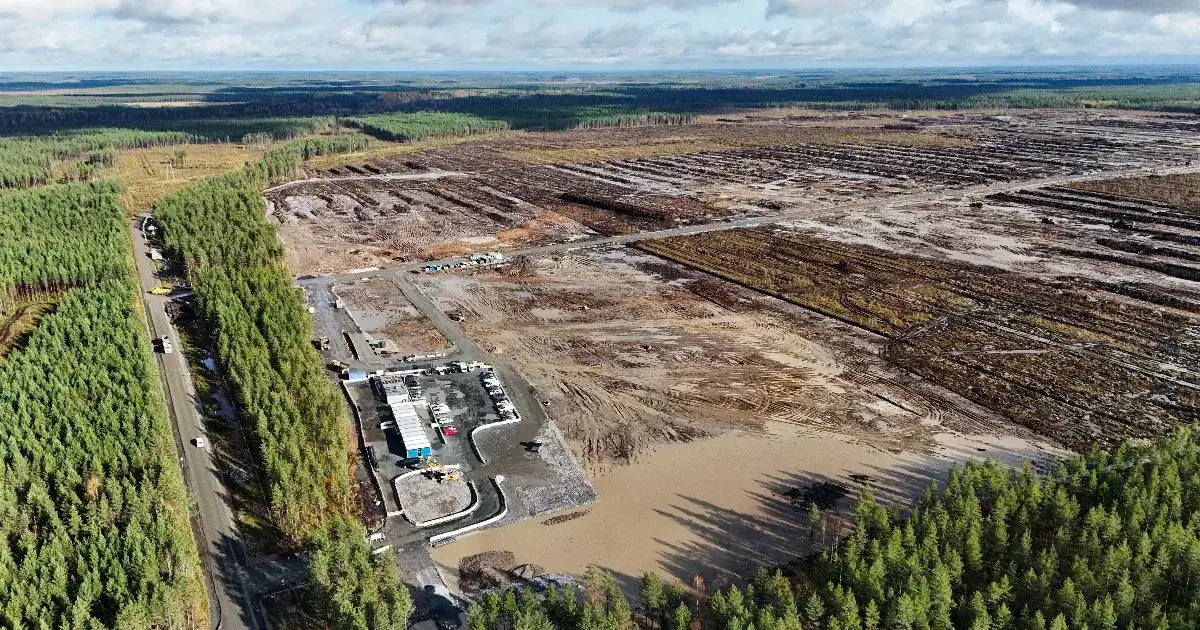 Google illegálisan 250 ezer fát döntött ki finn adatközpont miatt