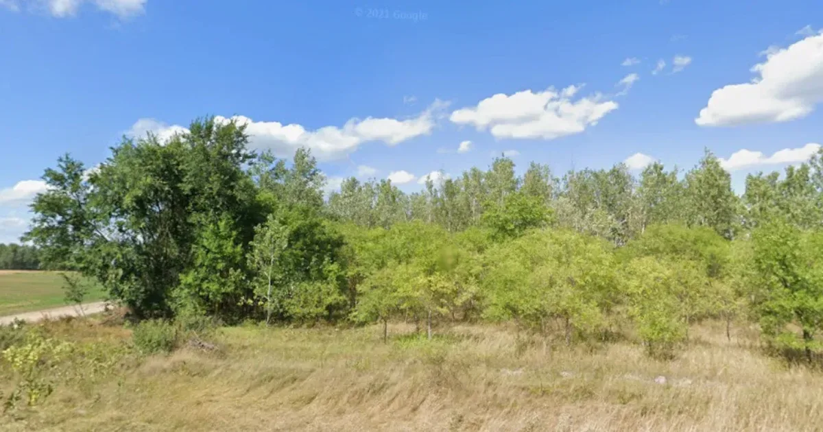 Homokhátság megmentése nem fákkal valósítható meg