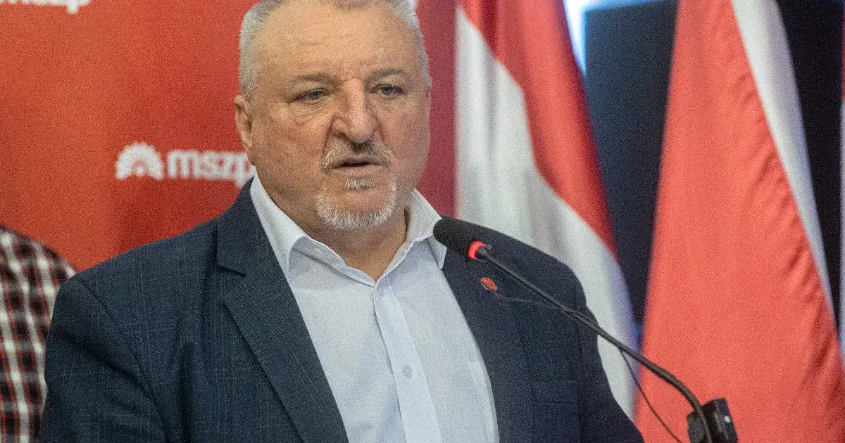Komjáthi Imrét választotta elnökének az MSZP tagsága