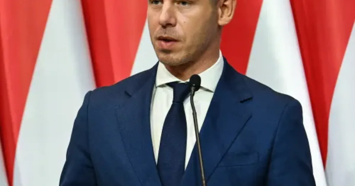 Magyar Péter a francia zavargásokkal indokolja a magyar migrációs politikát