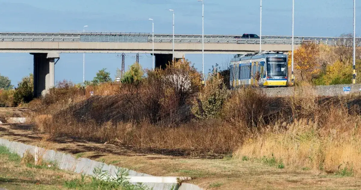 MÁV tagadja, hogy tehervonat gyújtotta volna az algyői avartüzet