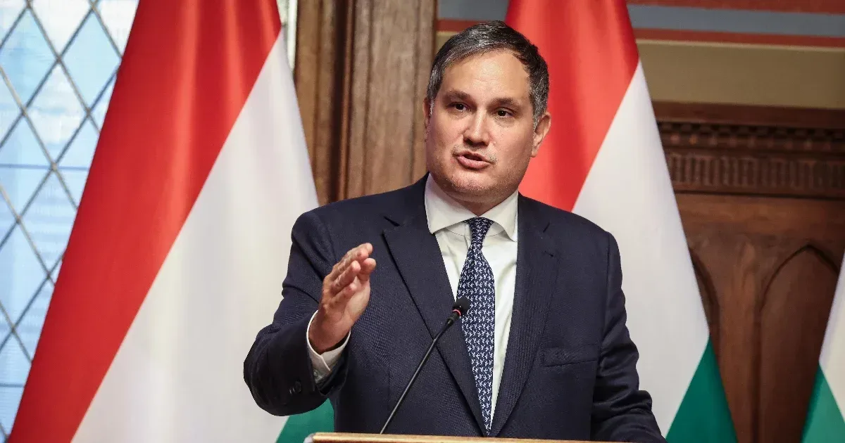 Nagy Márton delegációja 88 kilométerre is bérelt magángéppel utazott