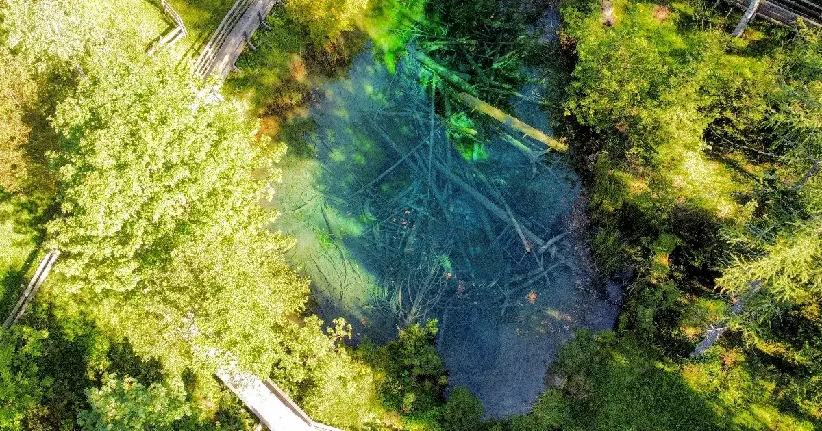 Tengerszem pislog Karintia meserétje mellett