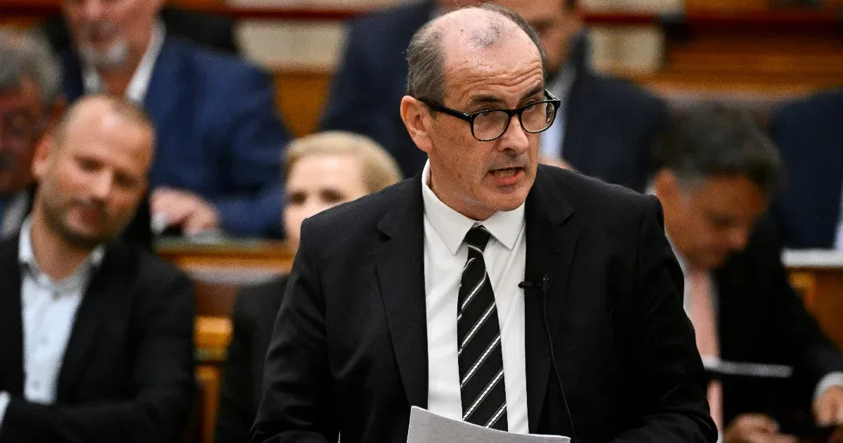 Védelmet ígér a bejelentőknek és őszintébb egészségügyet a betegeknek Hegedűs Zsolt