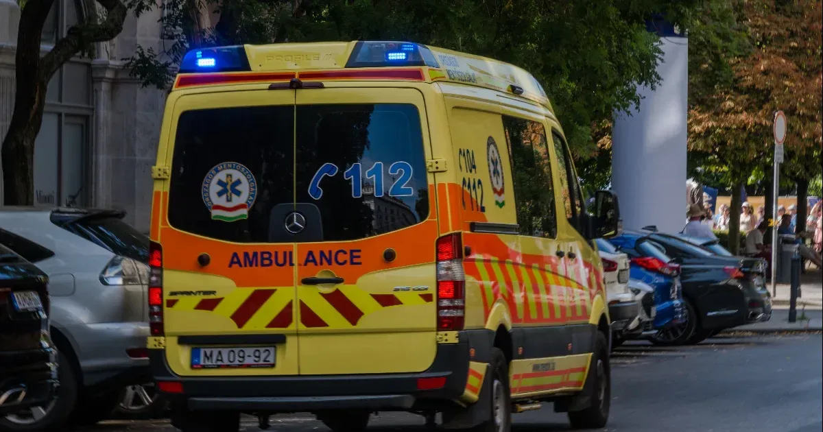 Viszket a feneke, szemét nyalta a macska, szomorúan ül a padon – mentőt kívántak